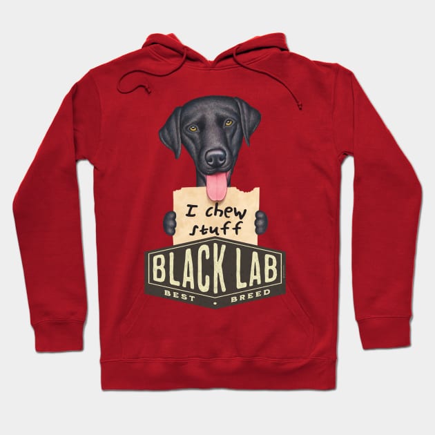 Black Lab Best Breed Hoodie by Danny Gordon Art